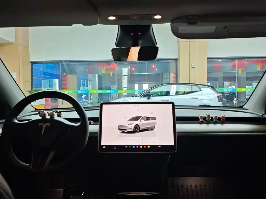 Tesla Model Y — фото 8