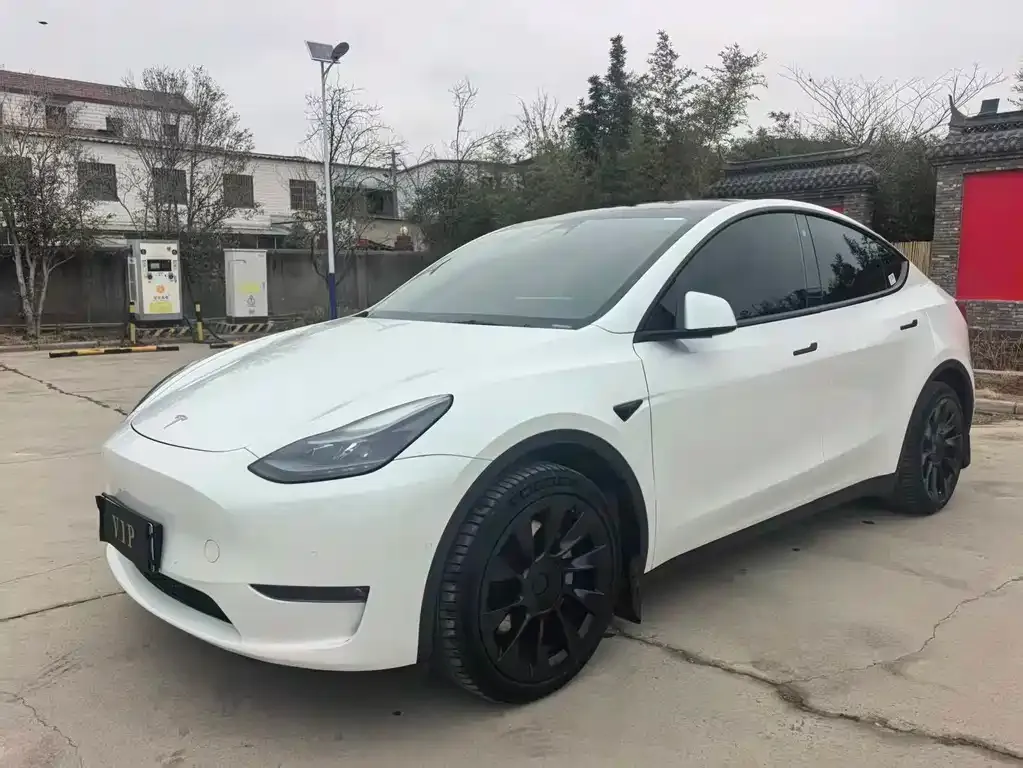 Tesla Model Y — фото 1