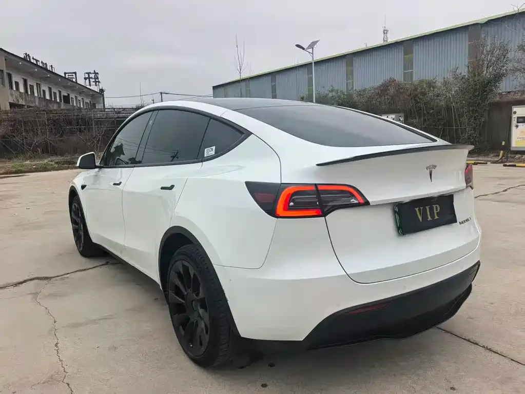 Tesla Model Y — фото 2