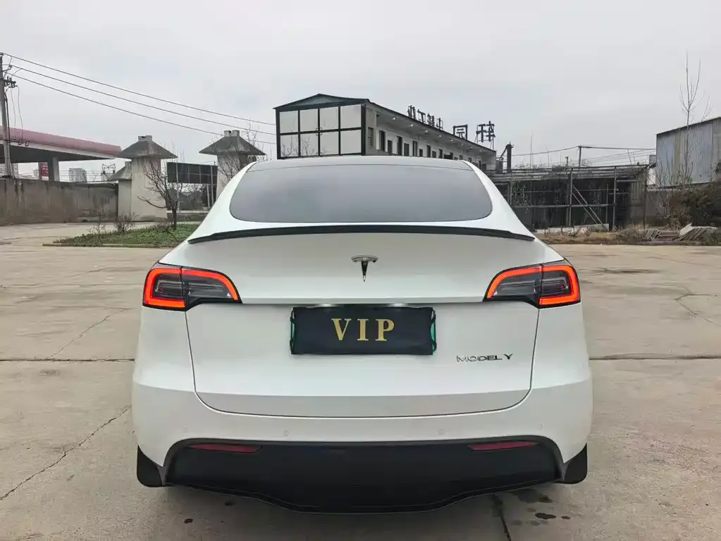 Tesla Model Y — фото 4