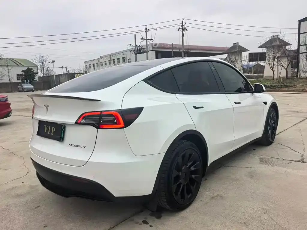Tesla Model Y — фото 10