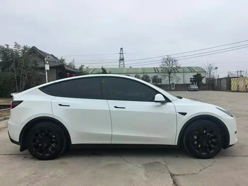 Tesla Model Y — фото 9