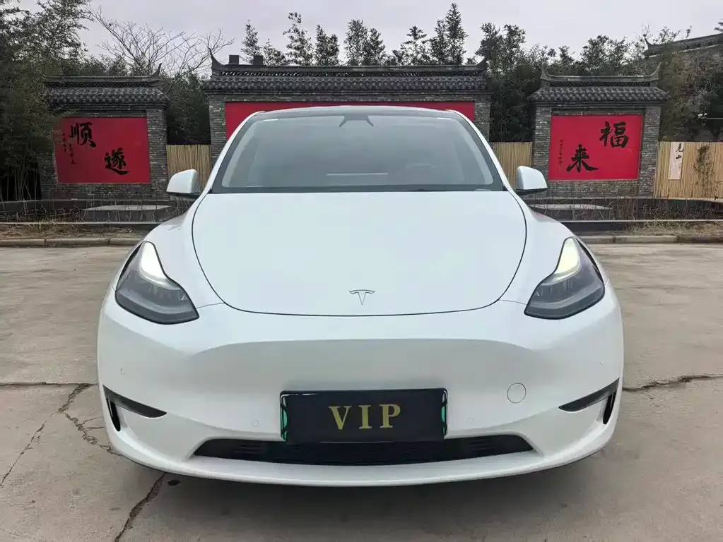 Tesla Model Y — фото 3