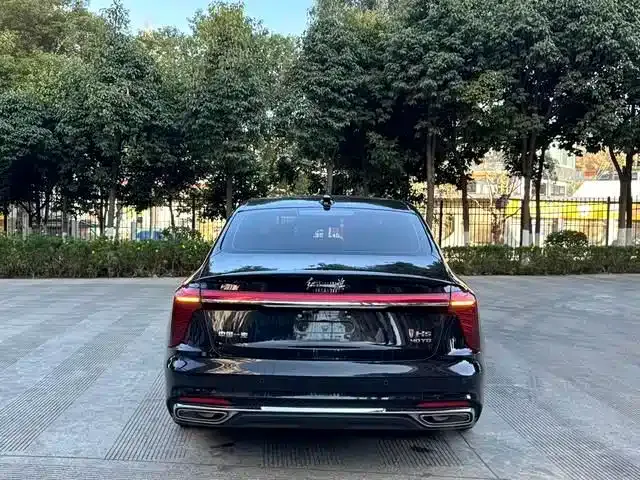 Hongqi H5 — фото 10