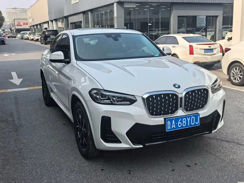 BMW X4 2024 из CN, фото 2