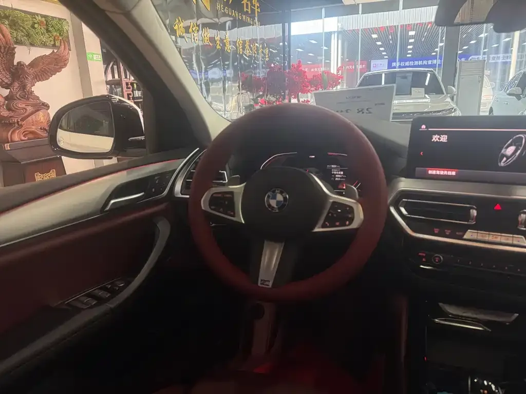 BMW X4 2024 из CN, фото 4