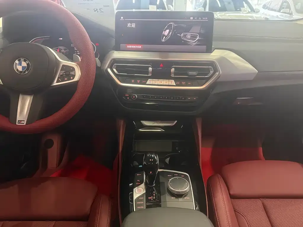 BMW X4 2024 из CN, фото 8