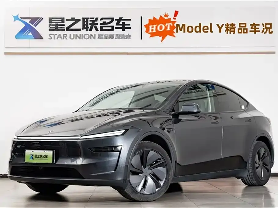 Tesla Model Y — фото 1