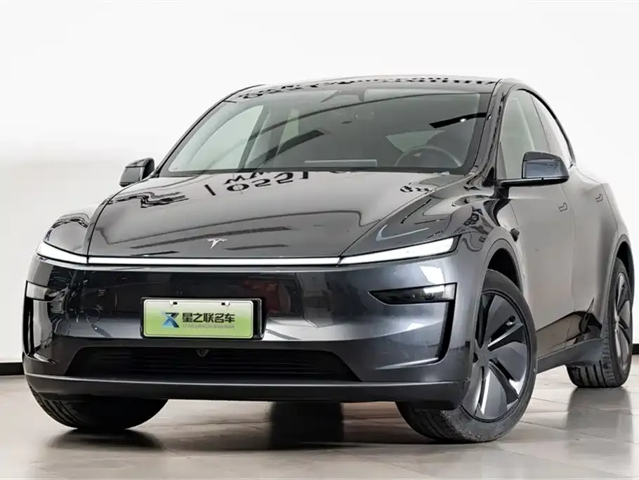 Tesla Model Y — фото 9