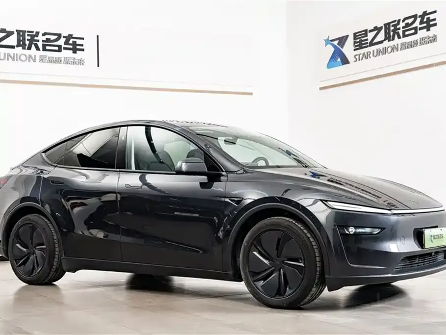 Tesla Model Y — фото 10