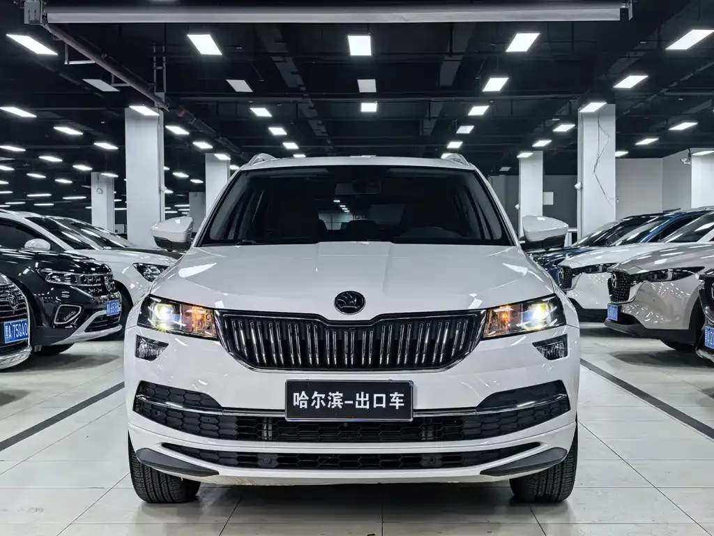 Skoda Karoq — фото 5