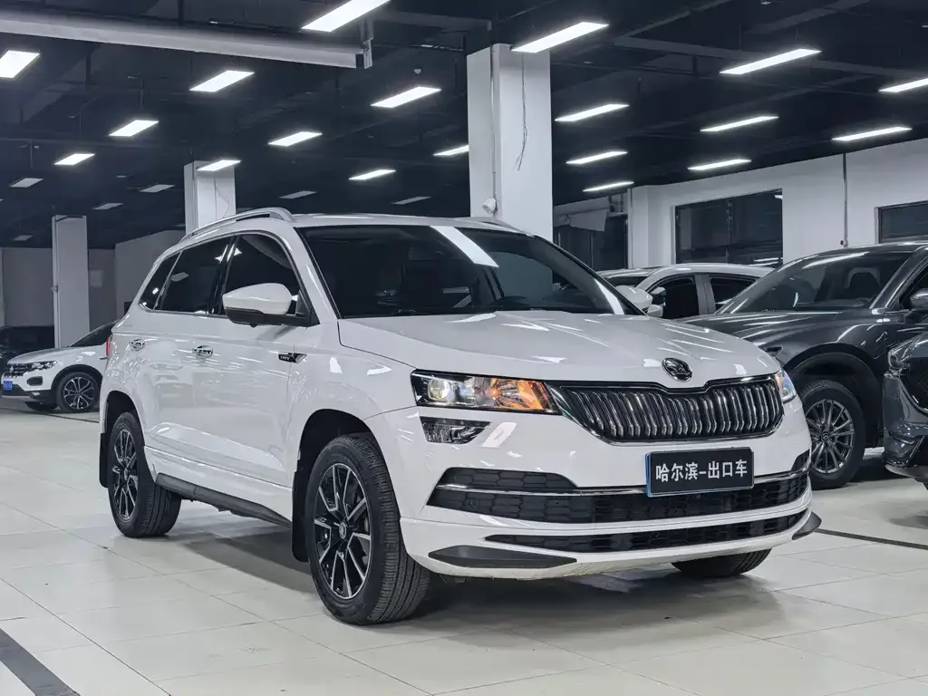 Skoda Karoq — фото 3