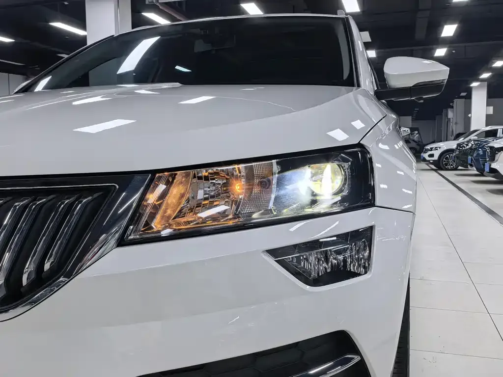 Skoda Karoq — фото 10
