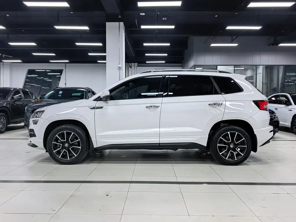 Skoda Karoq — фото 7