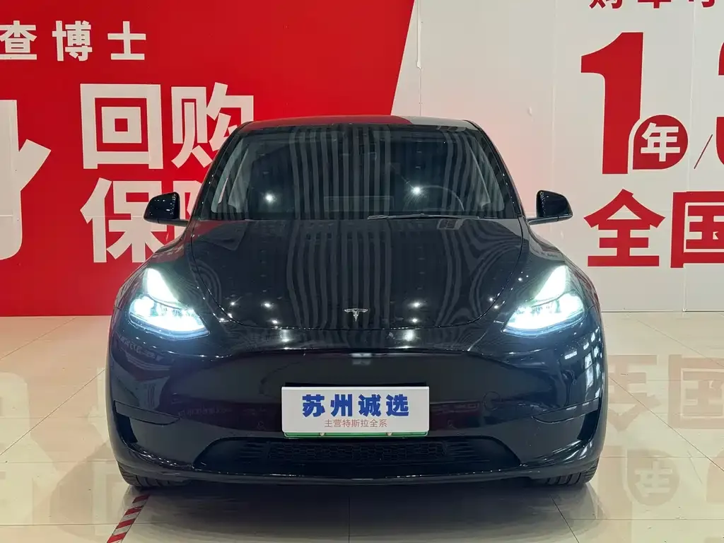 Tesla Model Y — фото 1