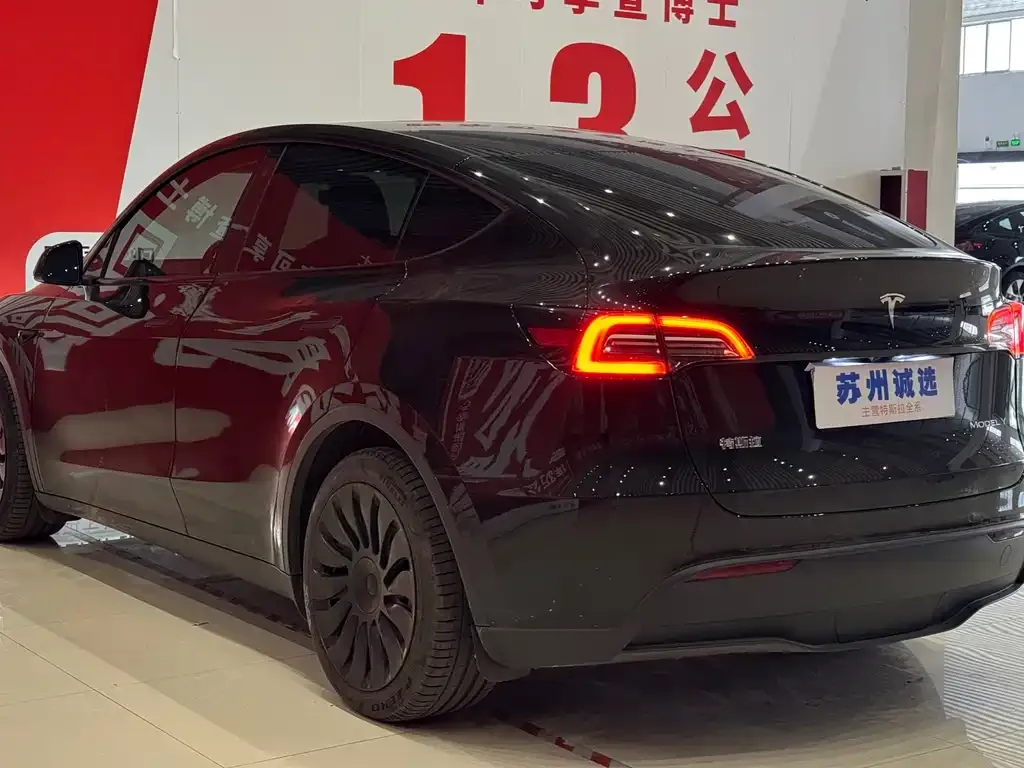 Tesla Model Y — фото 10