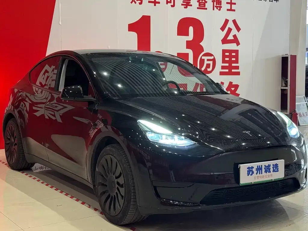 Tesla Model Y — фото 6