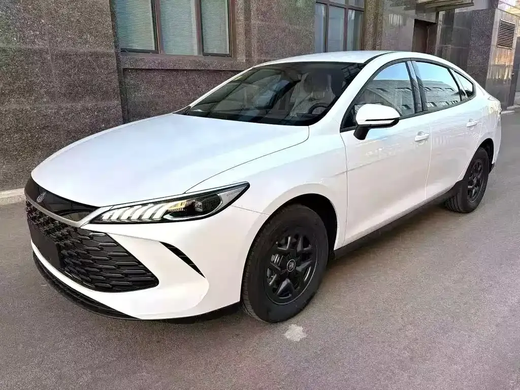 BYD Qin PLUS — фото 1