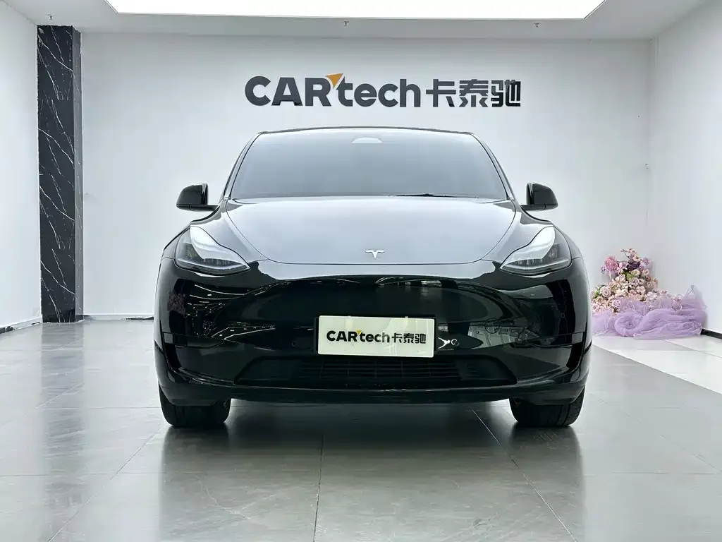 Tesla Model Y — фото 9