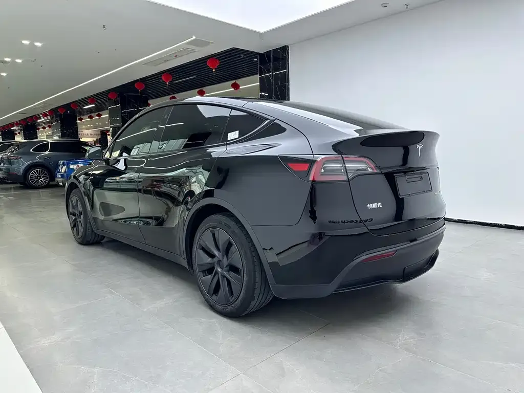 Tesla Model Y — фото 8
