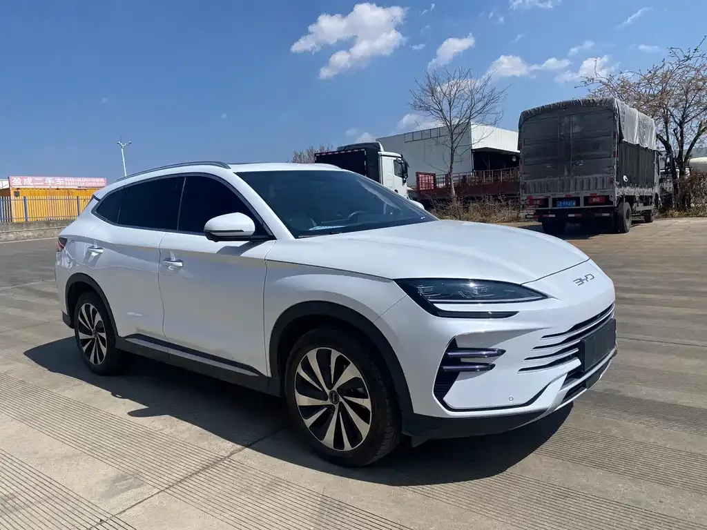 BYD PLUS New Energy — фото 1