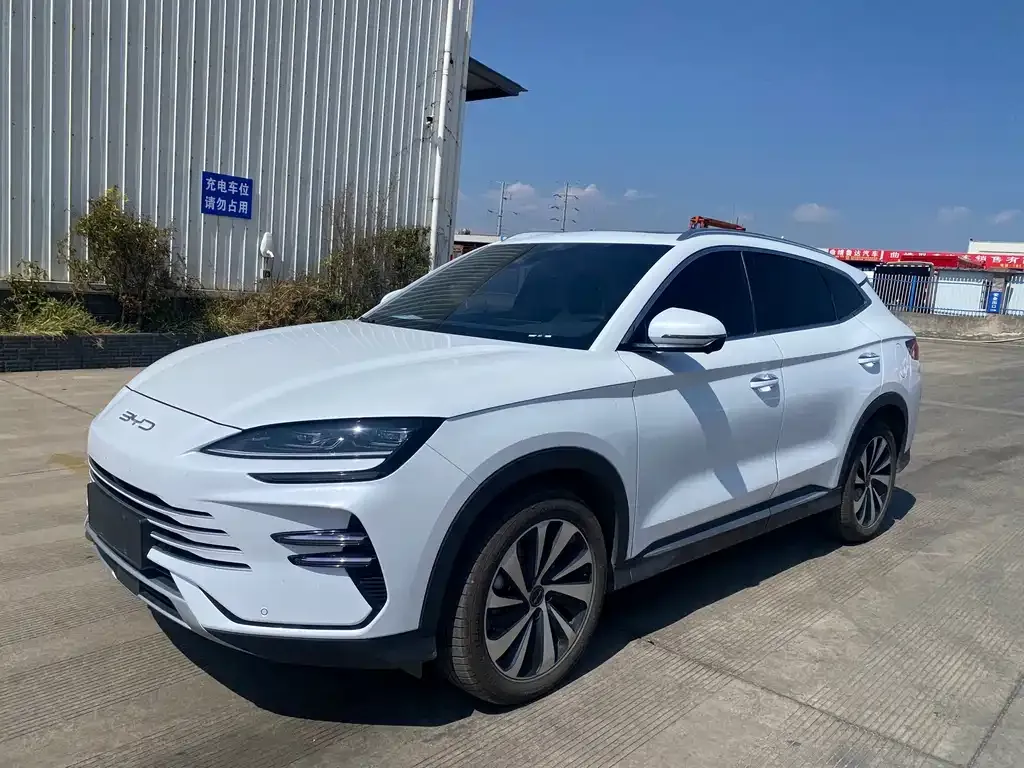 BYD PLUS New Energy — фото 6