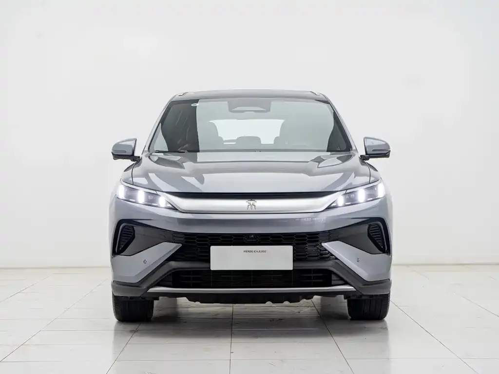 BYD Pro New Energy — фото 4