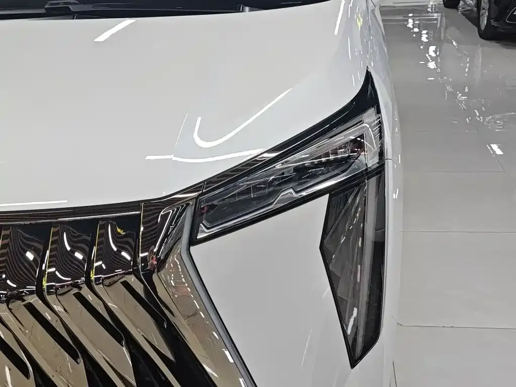 GAC Motor Trumpchi M8 2024 из CN, фото 10