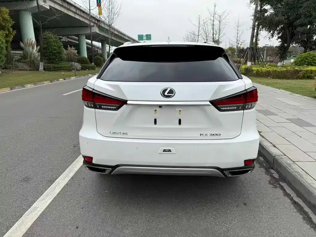 Lexus RX — фото 8