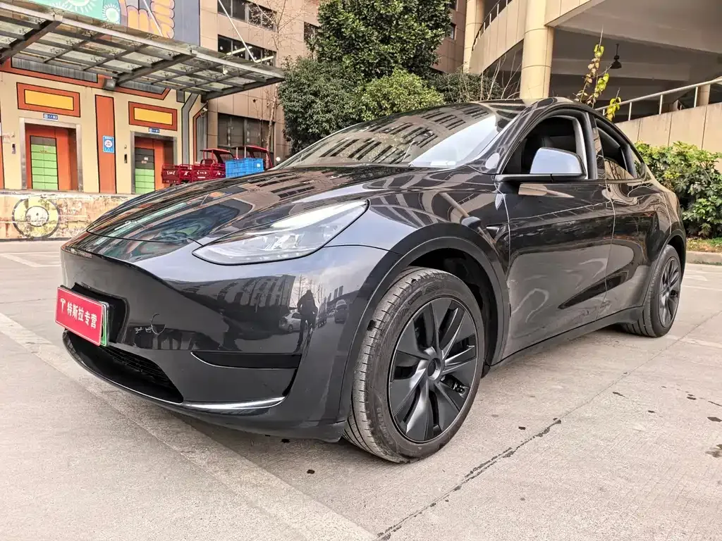 Tesla Model Y — фото 1