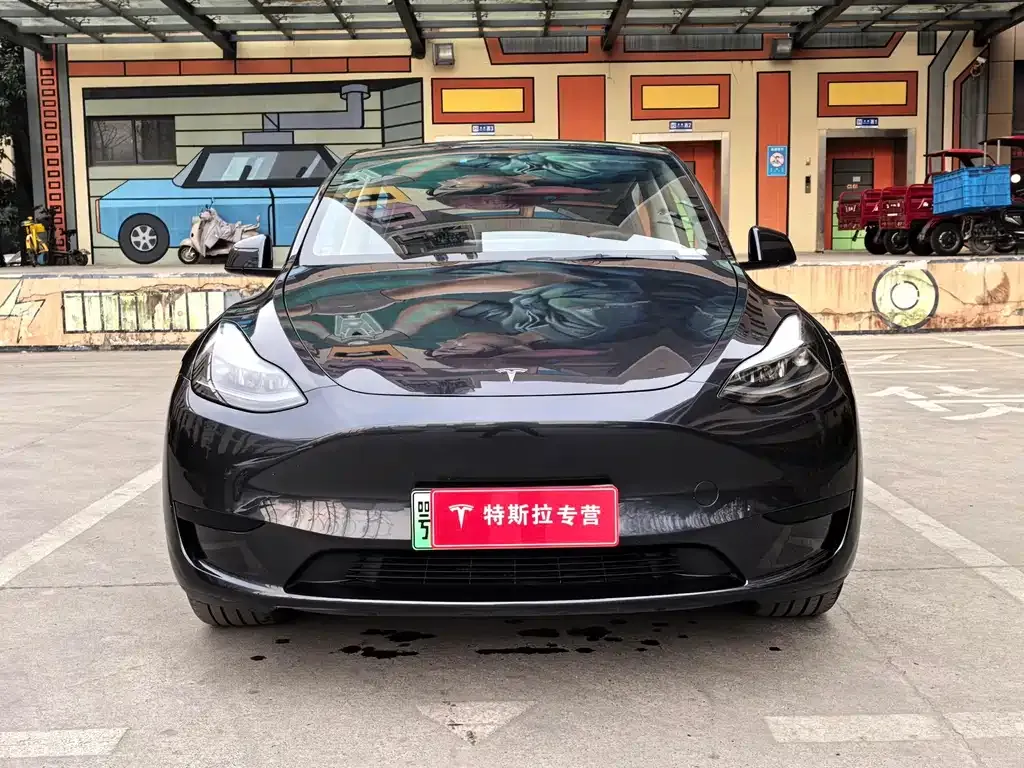 Tesla Model Y — фото 2