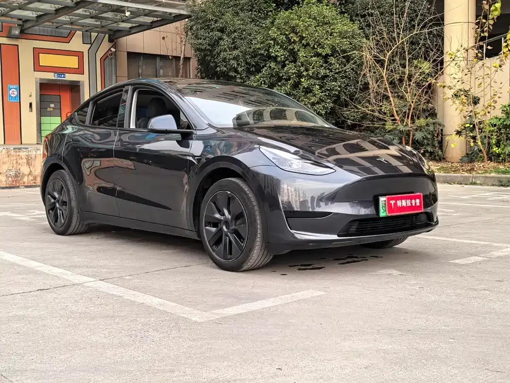 Tesla Model Y — фото 10