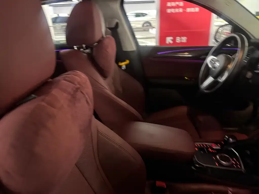 BMW X4 2022 из CN, фото 3