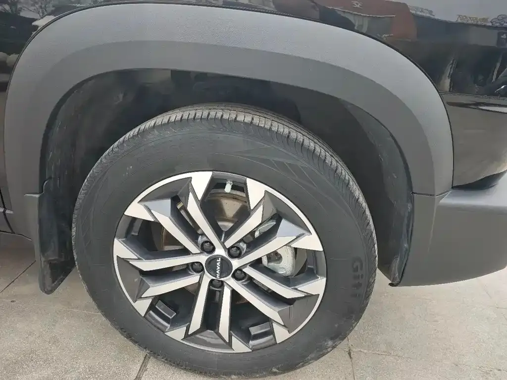 Haval Big Dog 2023 из CN, фото 7
