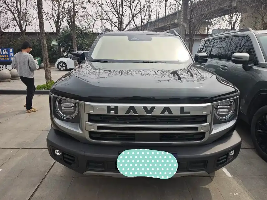 Haval Big Dog 2023 из CN, фото 9