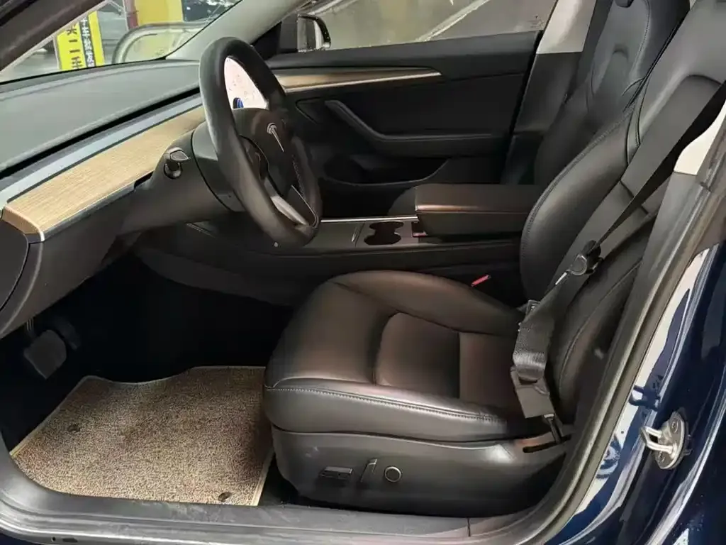 Tesla Model 3 2021 из CN, фото 8