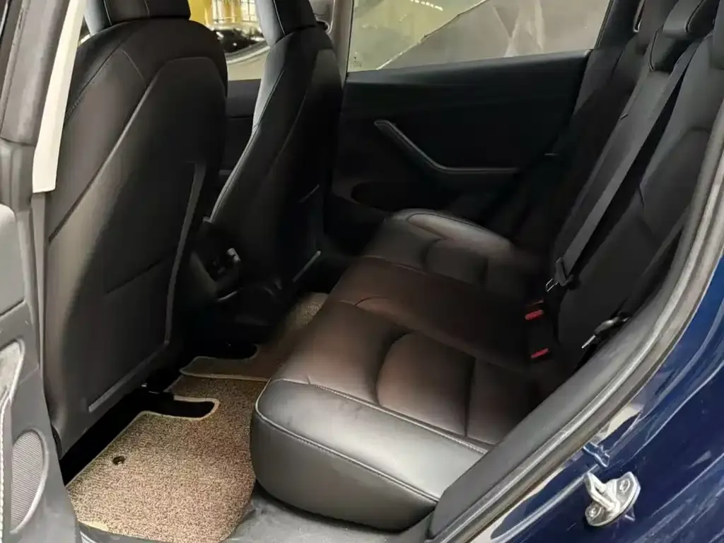 Tesla Model 3 2021 из CN, фото 2
