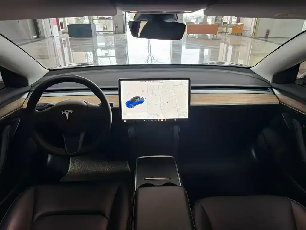 Tesla Model 3 2021 из CN, фото 5