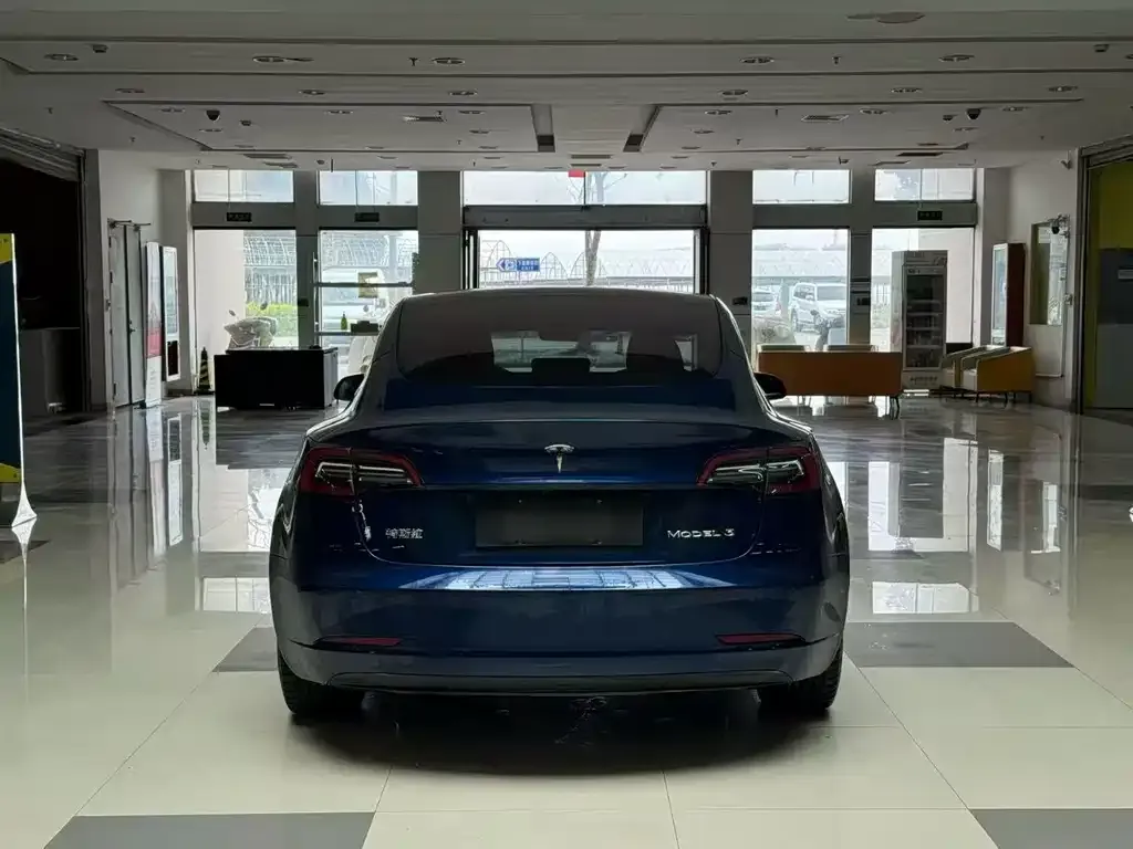 Tesla Model 3 2021 из CN, фото 6