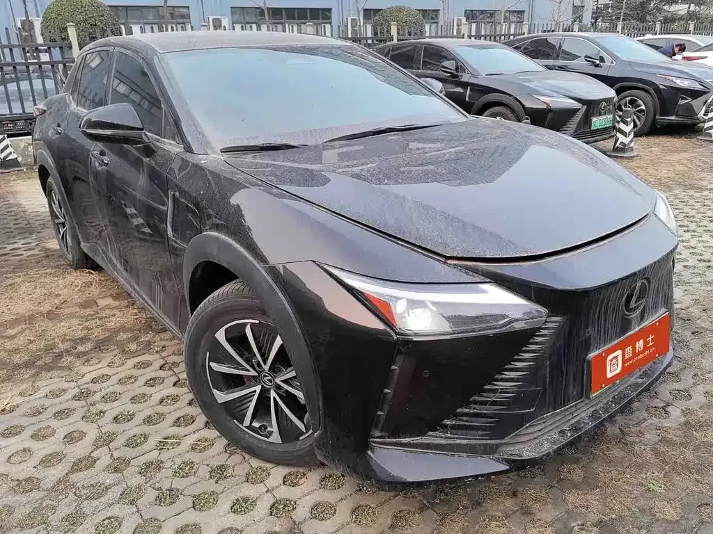 Lexus RZ 2023 из CN, фото 7