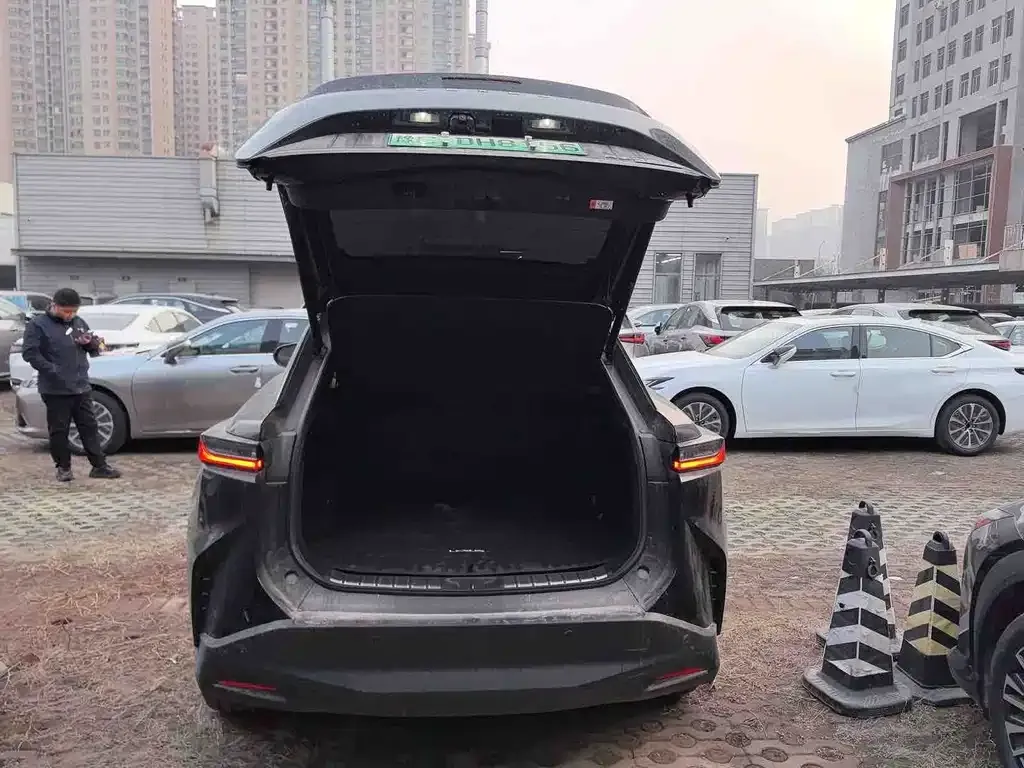 Lexus RZ 2023 из CN, фото 8