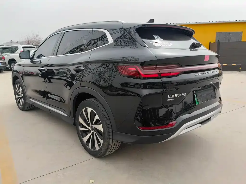 BYD PLUS New Energy — фото 10