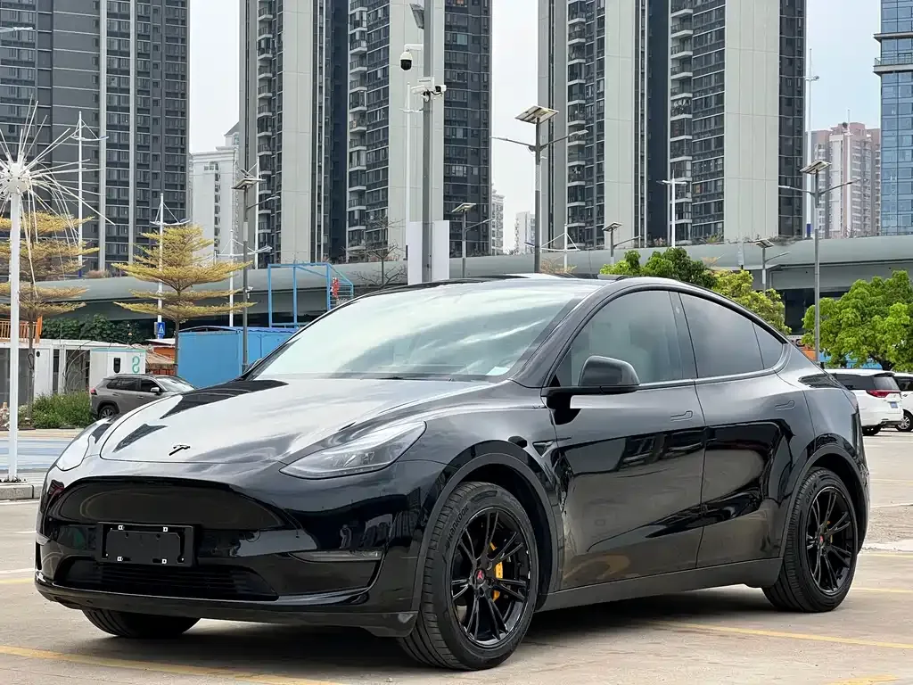 Tesla Model Y — фото 1