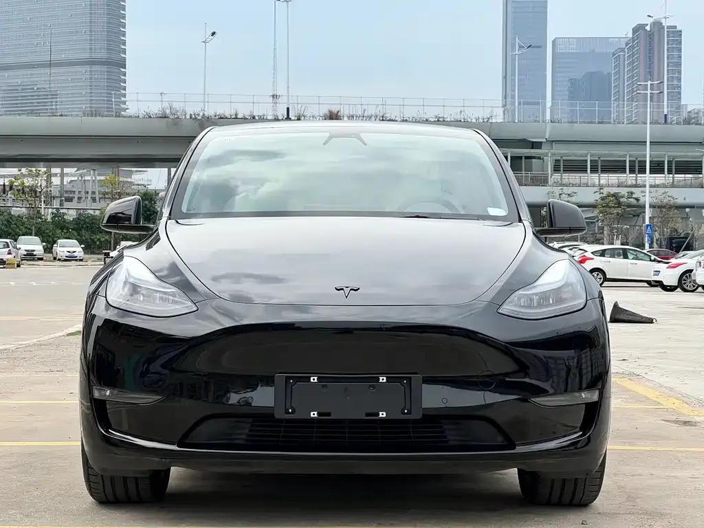 Tesla Model Y — фото 2