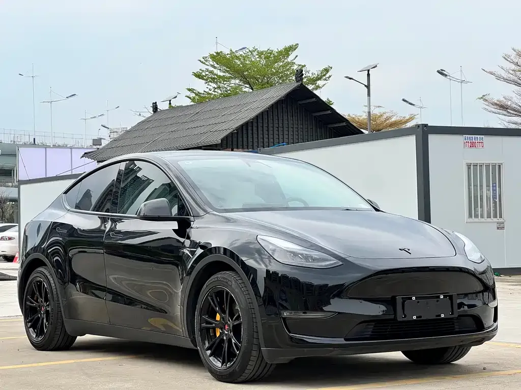 Tesla Model Y — фото 5