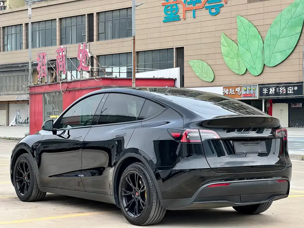 Tesla Model Y — фото 6