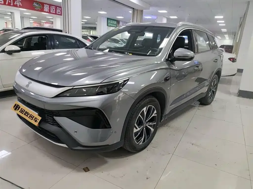 BYD Pro New Energy — фото 1