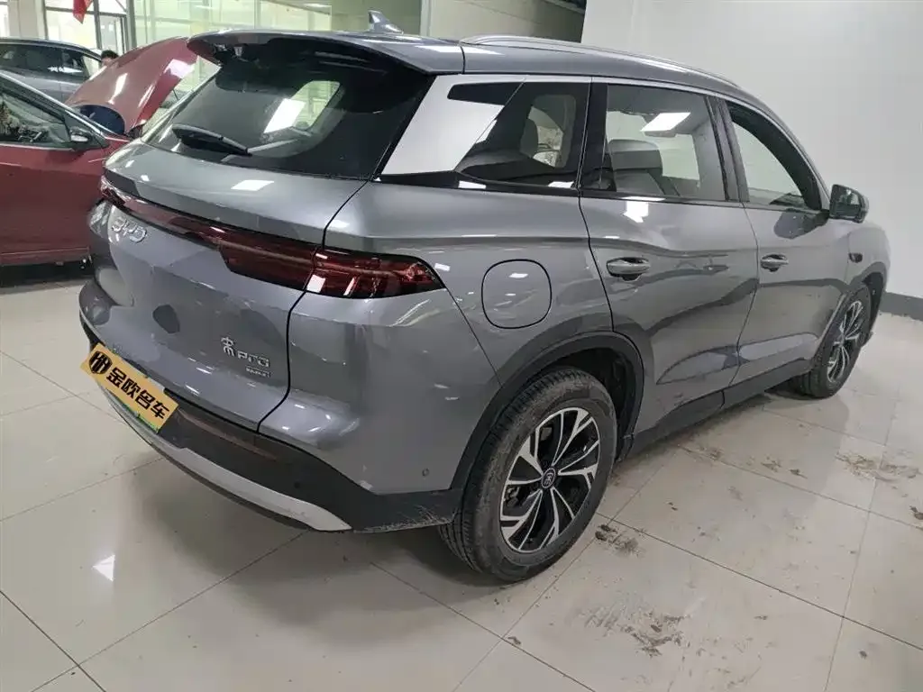 BYD Pro New Energy — фото 5