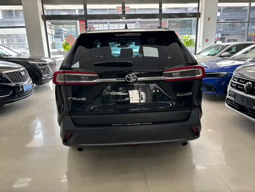 Toyota Wildlander 2025 из CN, фото 7