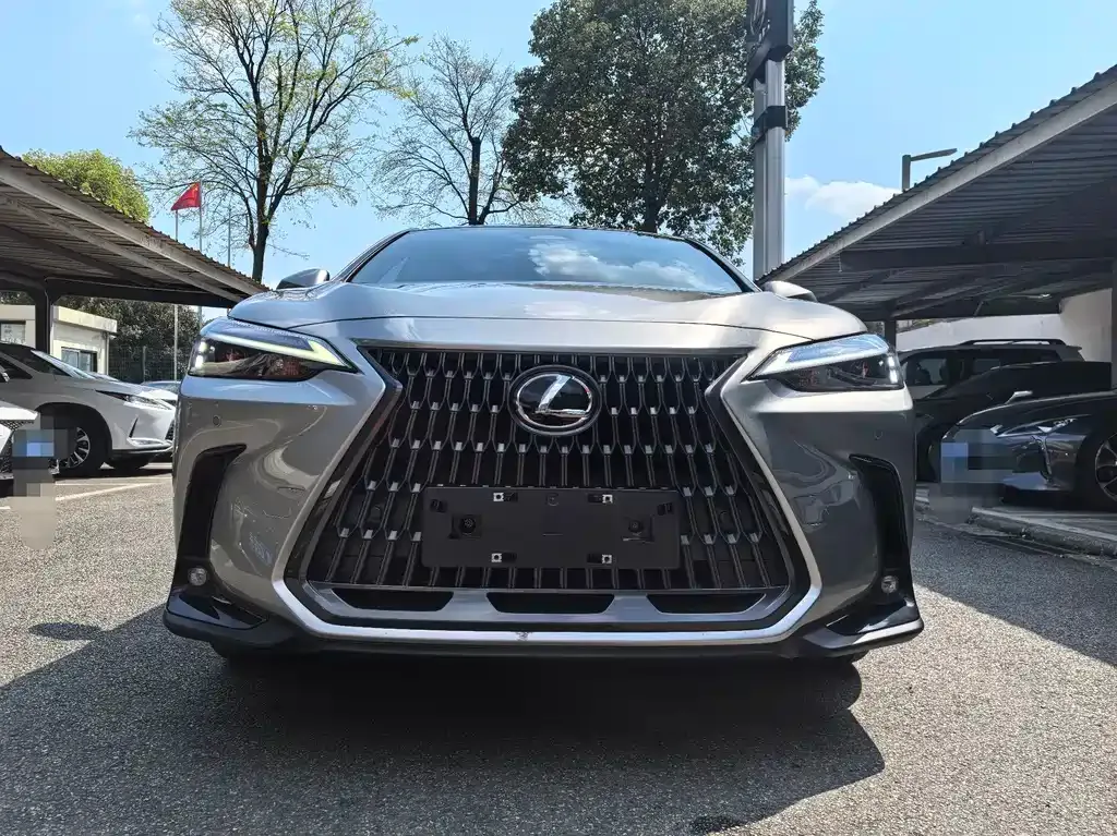 Lexus NX New Energy